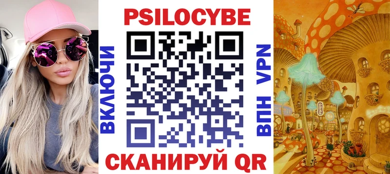 Купить закладки  Кологрив  Псилоцибиновые грибы Psilocybe 